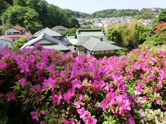 ���s���̃c�c�W