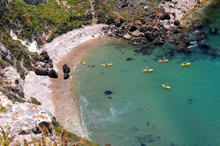 Channel Islands National Park