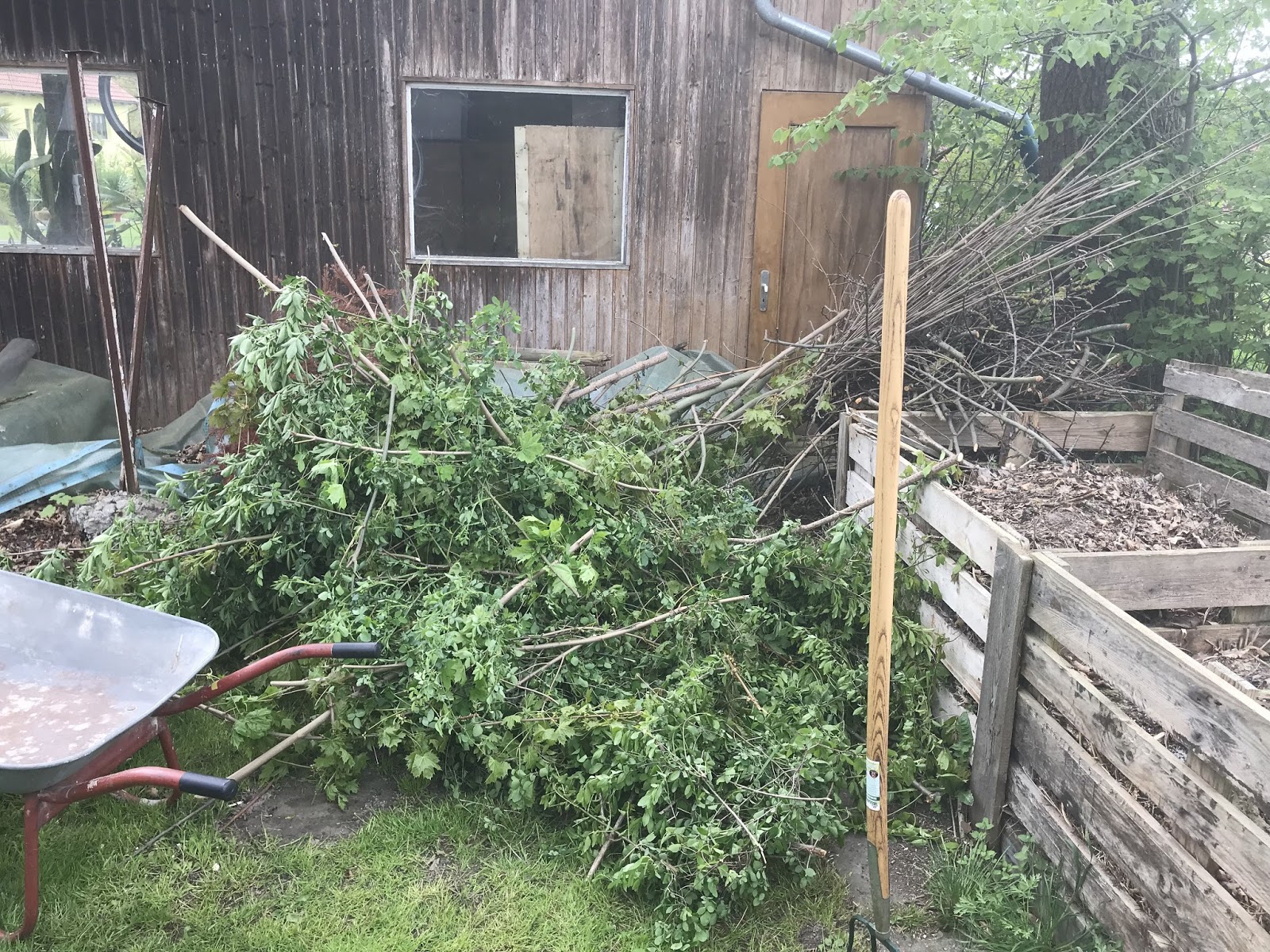 Man darf den Tag nicht vor dem Abend loben…. Achims Garten