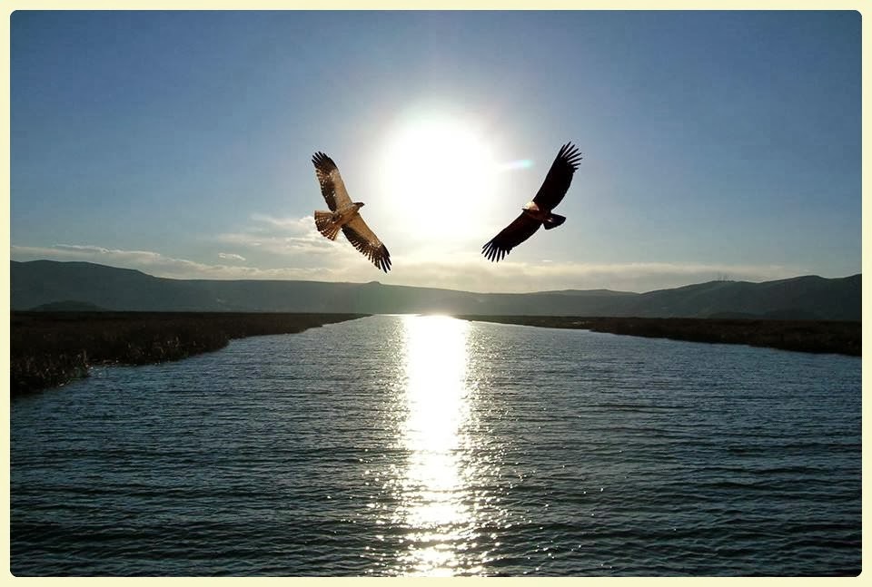 Cayendo Al Abismo Wayne Dyer Pdf Gratis Cayendo Al Abismo Wayne Dyer Pdf Gratis