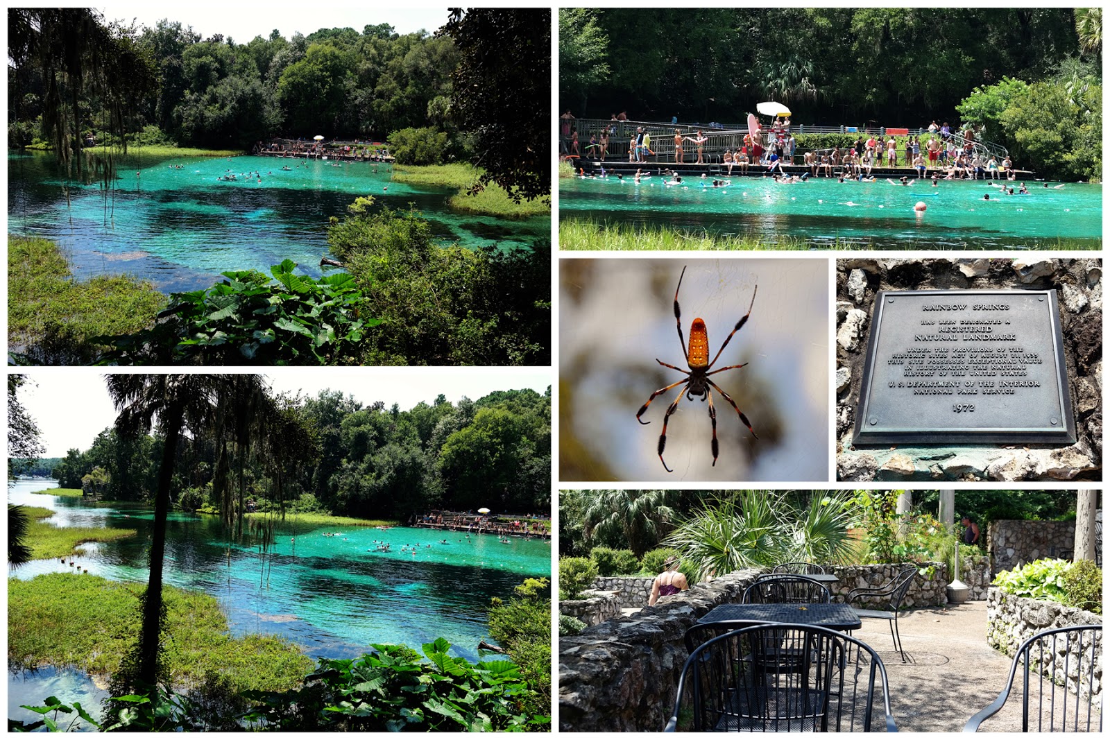 Show Us The World Rainbow Springs State Park