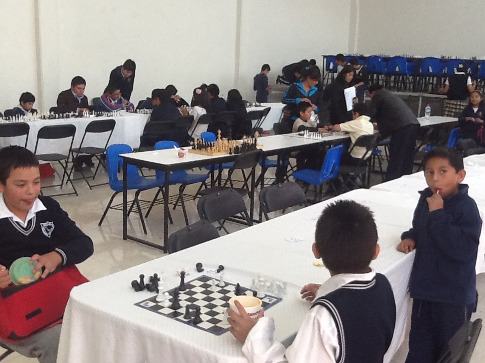 COLEGIO ESPAÑOL DEL ALTIPLANO