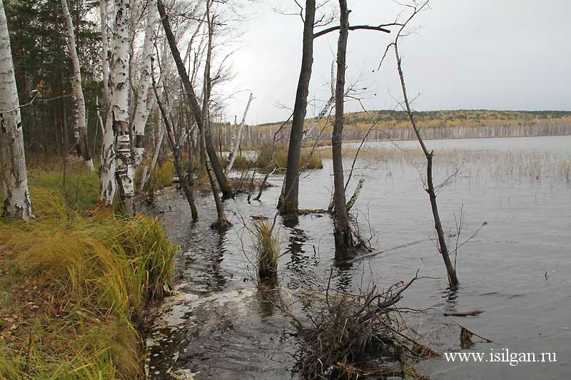 Татыш (озеро, снежинский городской округ). Татыш. Озеро татыш челябинская область. Татыш чистые озера. Озеро татыш илишевский район.
