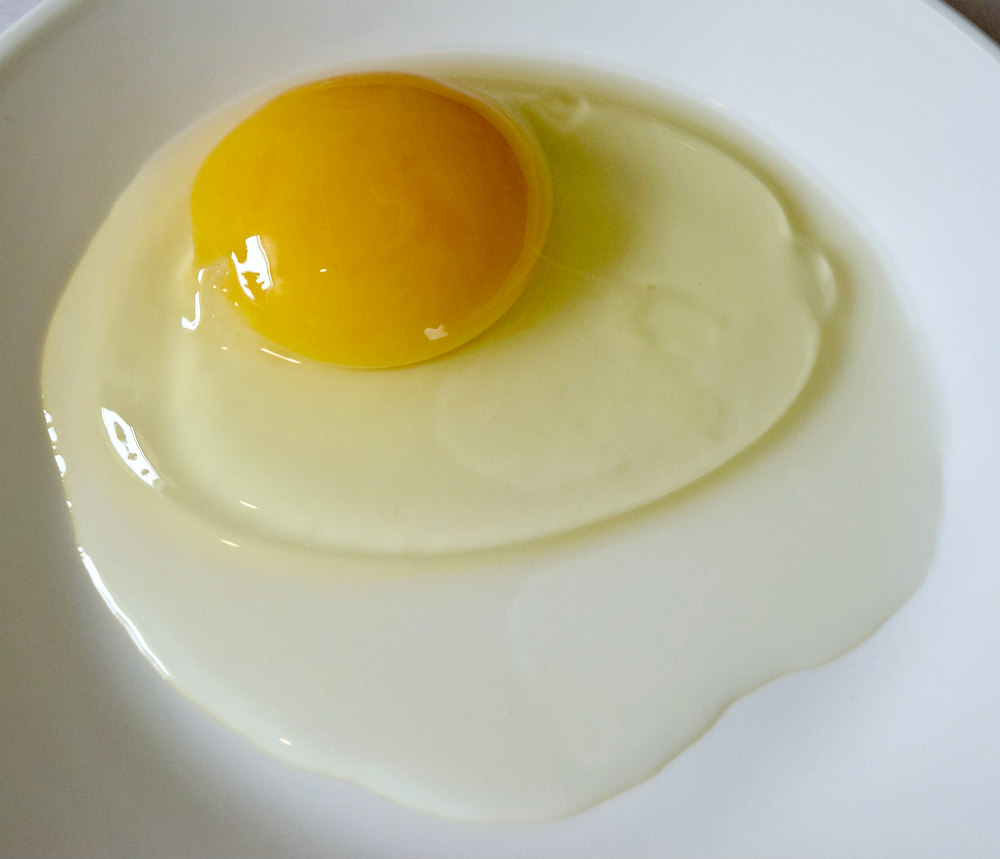 6 Ways to Preserve Eggs Oak Hill Homestead