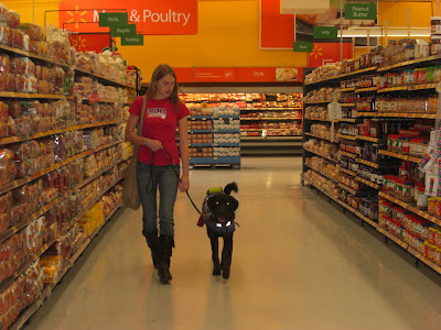 Picture of Rudy in coat/harness beside me - doing a 'forward' inside Wal-Mart