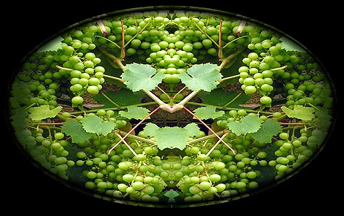 symmetry in nature does not apply