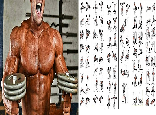 Best 5 Day A Week Strength Training Plan best-5-day-a-week-strength-training-plan