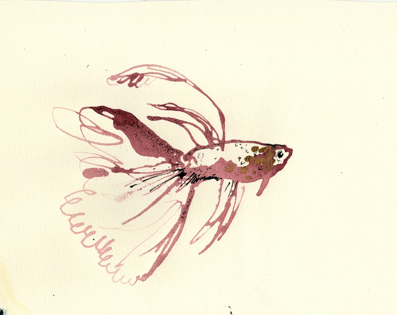 Anna Wright Illustration