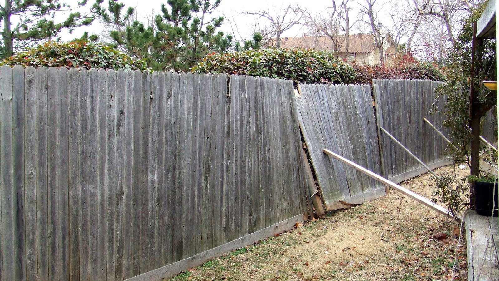 Fence Viewer Fences Repair Fence Choices