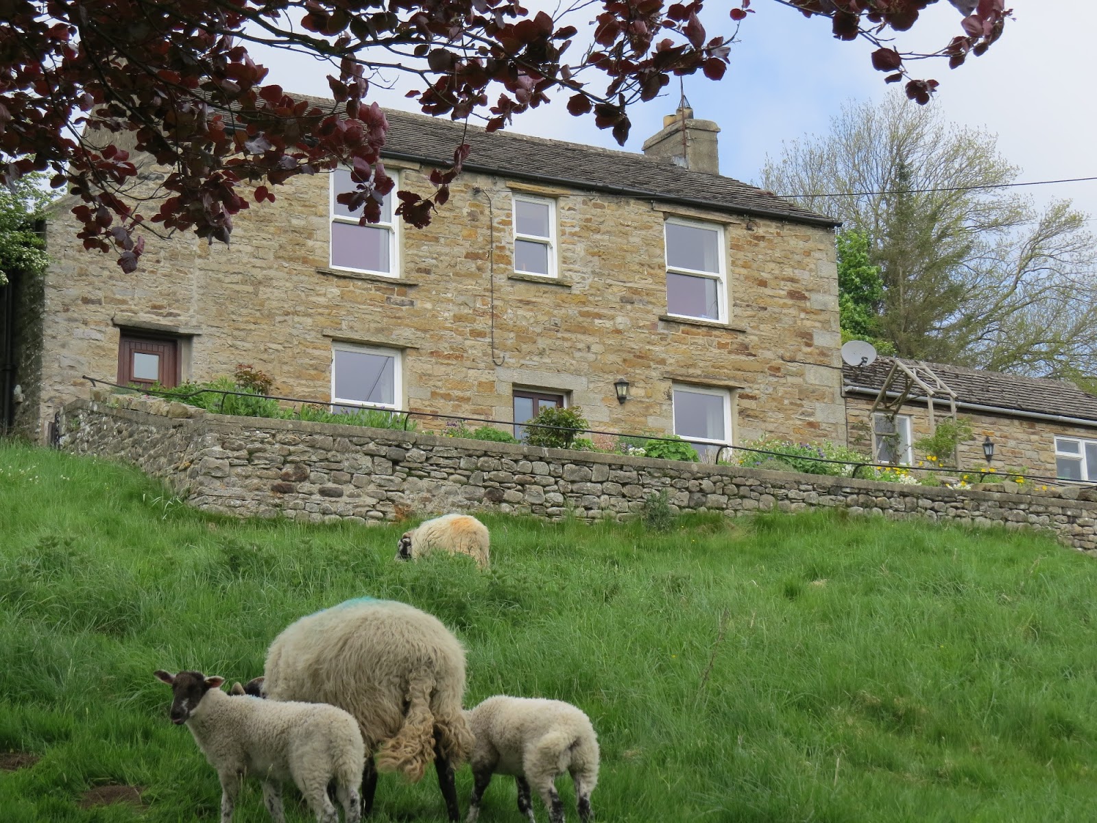 Pry House Farm www.upperswaledaleholidays.co.uk Hillcrest Holiday