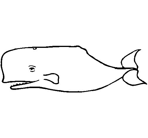 dibujos infantiles de animales, ballenas para colorear 