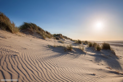 Ripples in the sand - Holkham Ripples in the sand - Holkham