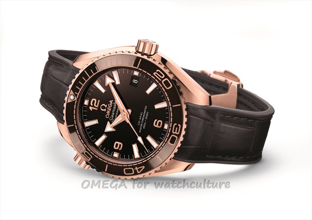Download Omega Seamaster Planet Ocean 600M 39.5Mm Gif