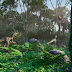 jurassic forest