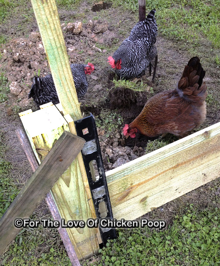 For The Love Of Chicken Poop: Raising a Garden Bed