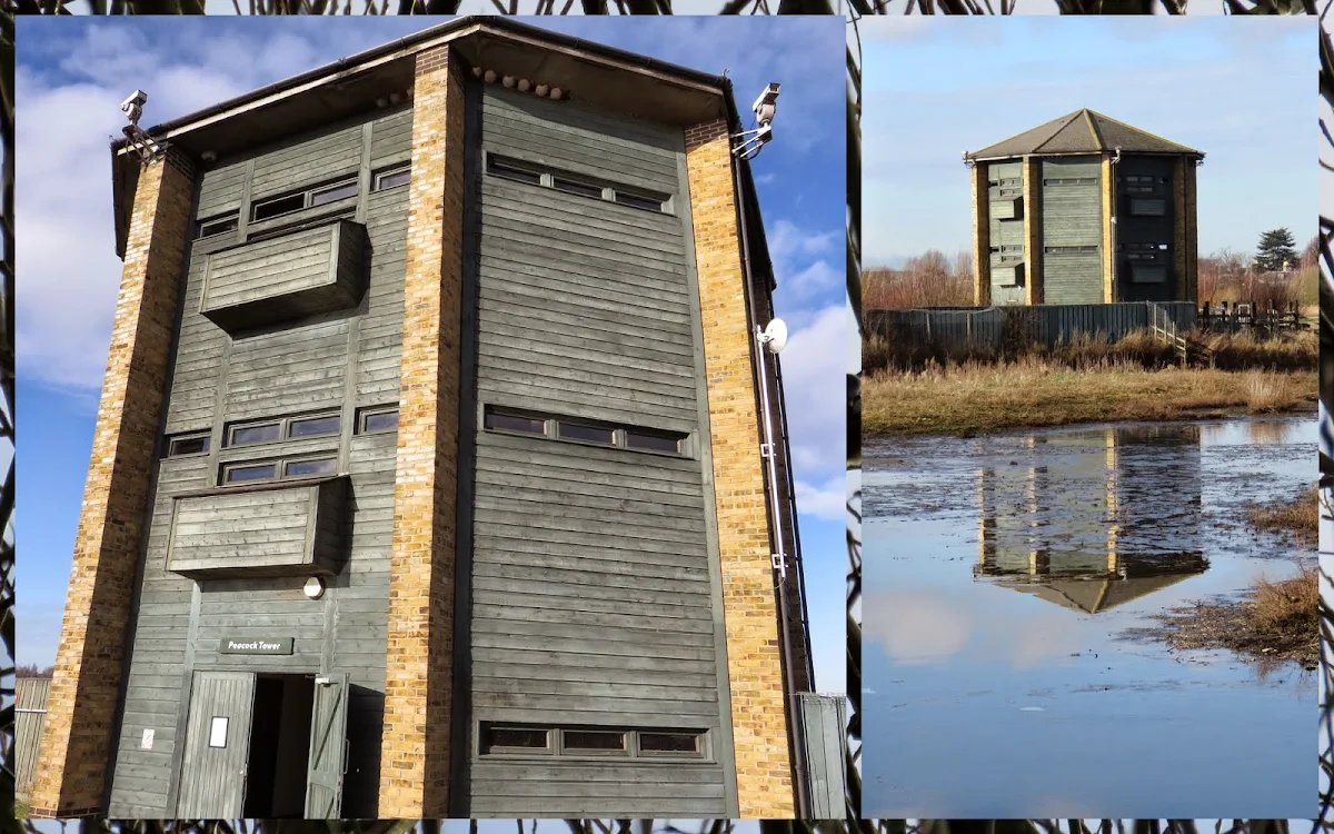 Bird Hide at the Wildfowl and Wetlands Trust in London