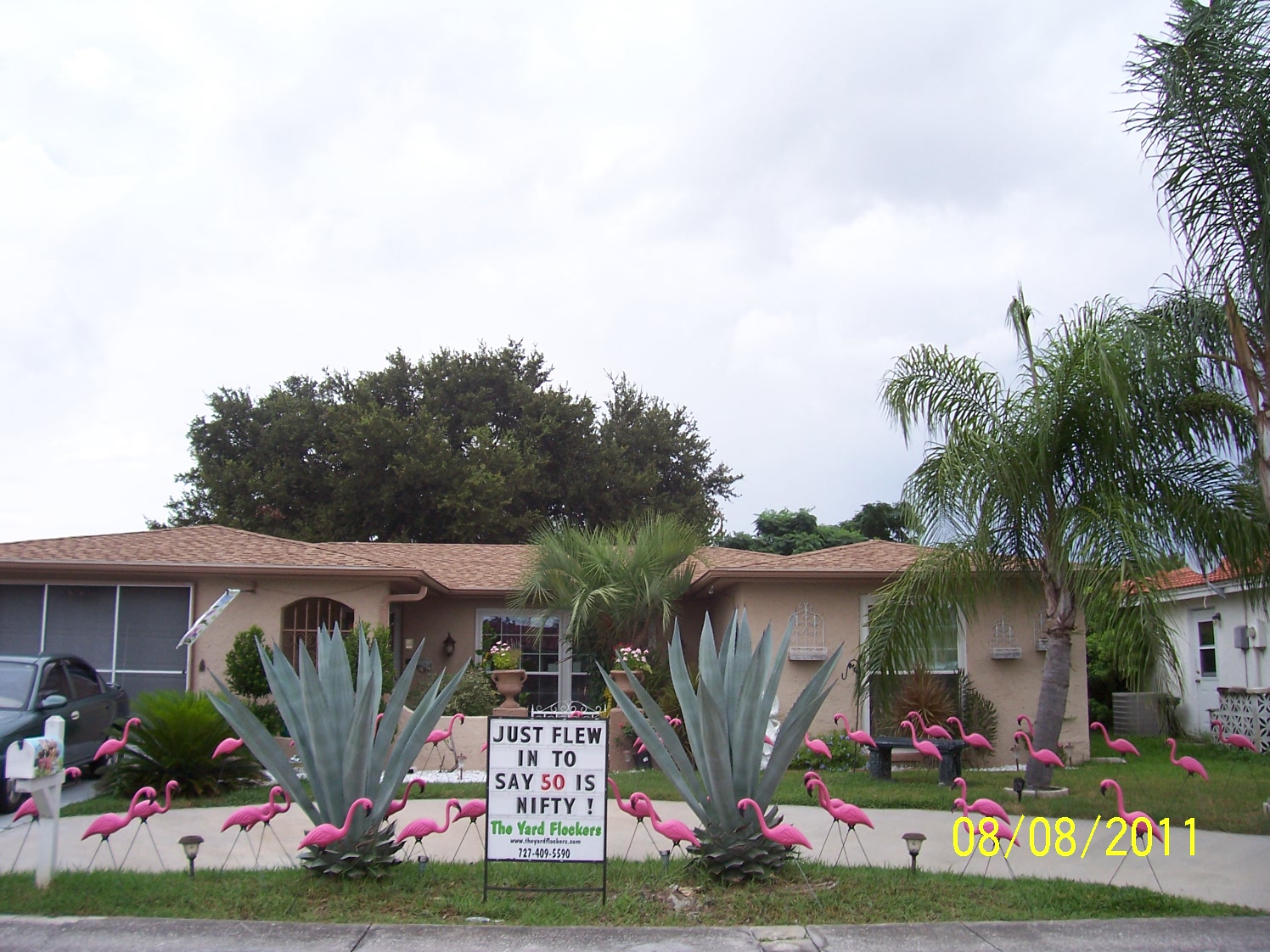 *THE YARD FLOCKERS* Pinellas County, Fla 727-409-5590 WWW