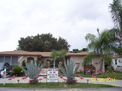 *THE YARD FLOCKERS* Pinellas County, Fla 727-409-5590 WWW