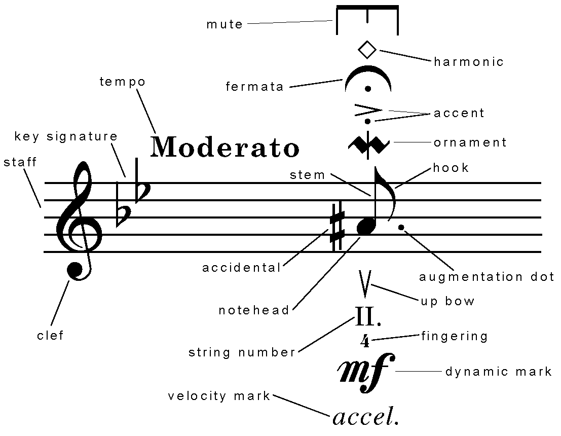 Значение музыкальных нот. Обозначения на нотном стане фортепиано. Нотные символы обозначения. Символы нотной грамоты. Знаки музыкальной нотации.