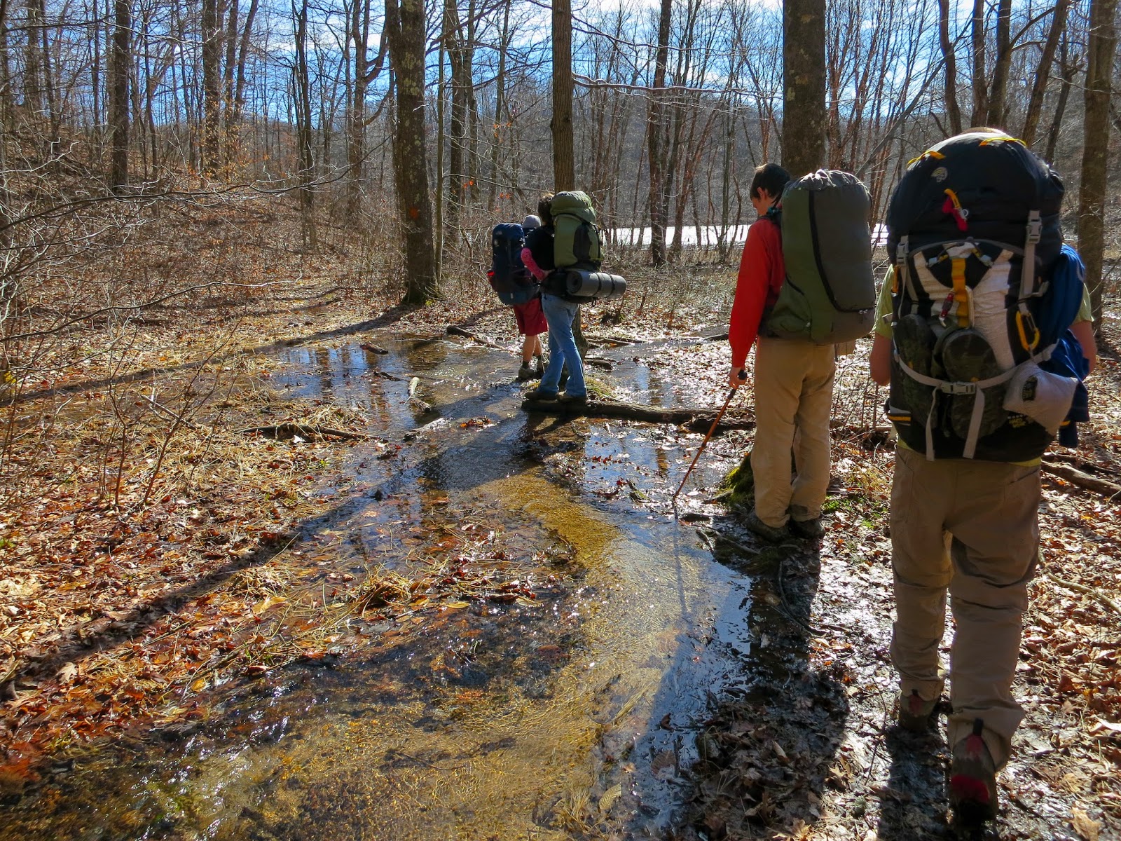 On the Subject of Nature Backpacking at Zaleski State Forest