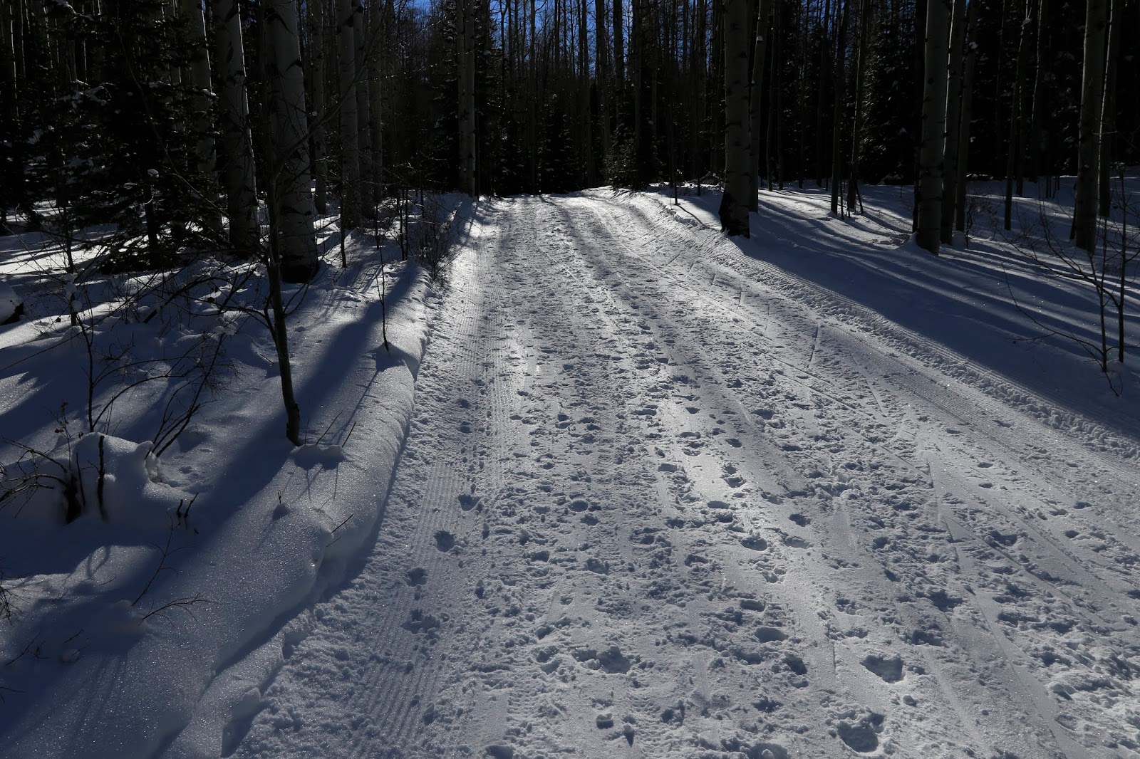 Ana S Ramblings Art Corner Edm 15 Draw A Tree Or Trees