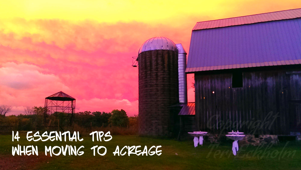 Minnesota Real Estate Update 14 Essential Tips When Making a Move to