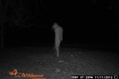 foto de fantasma en trail cam