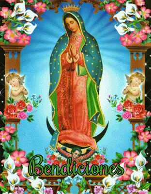 Virgen de Guadalupe Gif Animado con Mensaje