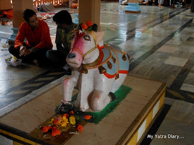 A Nandi Bull at the Tungareshwar temple in Vasai, Mumbai