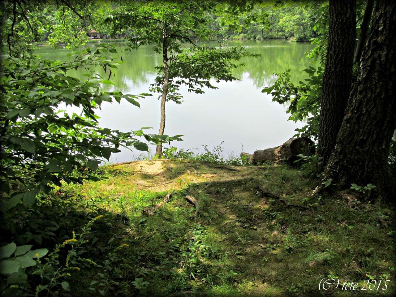Oakland, Il...worth a second glance Walnut Point State Park this morning