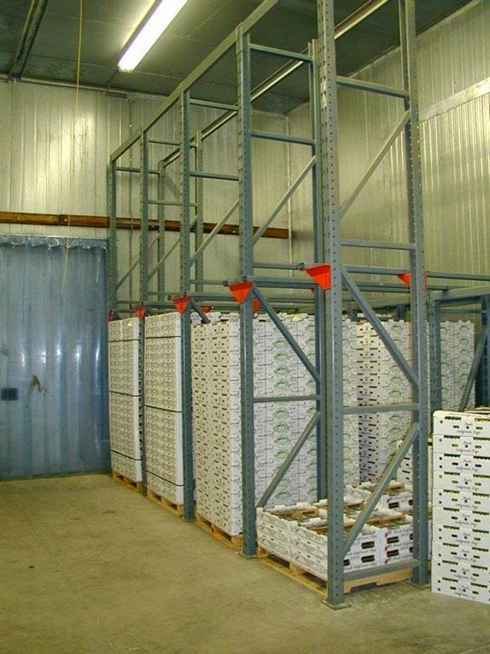 Figs Photo Collection Around the World Maywood Farms Figs Company