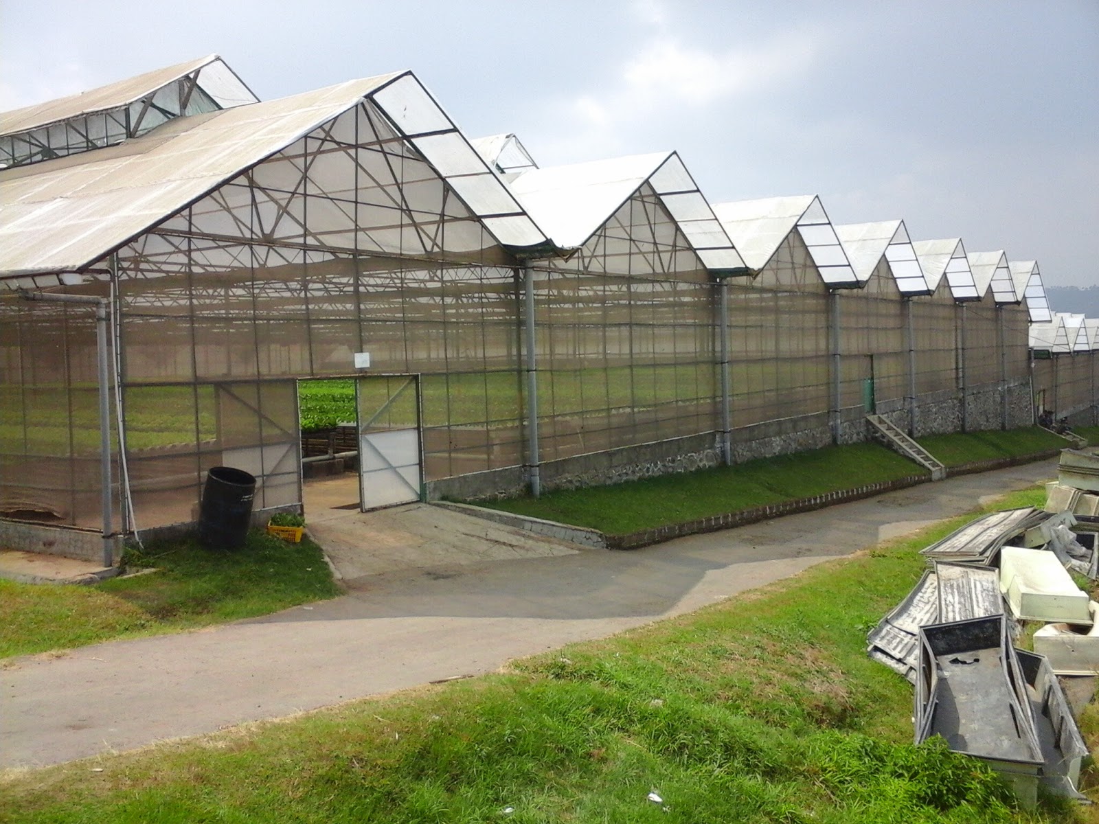 Foto Keren Amazing Farm