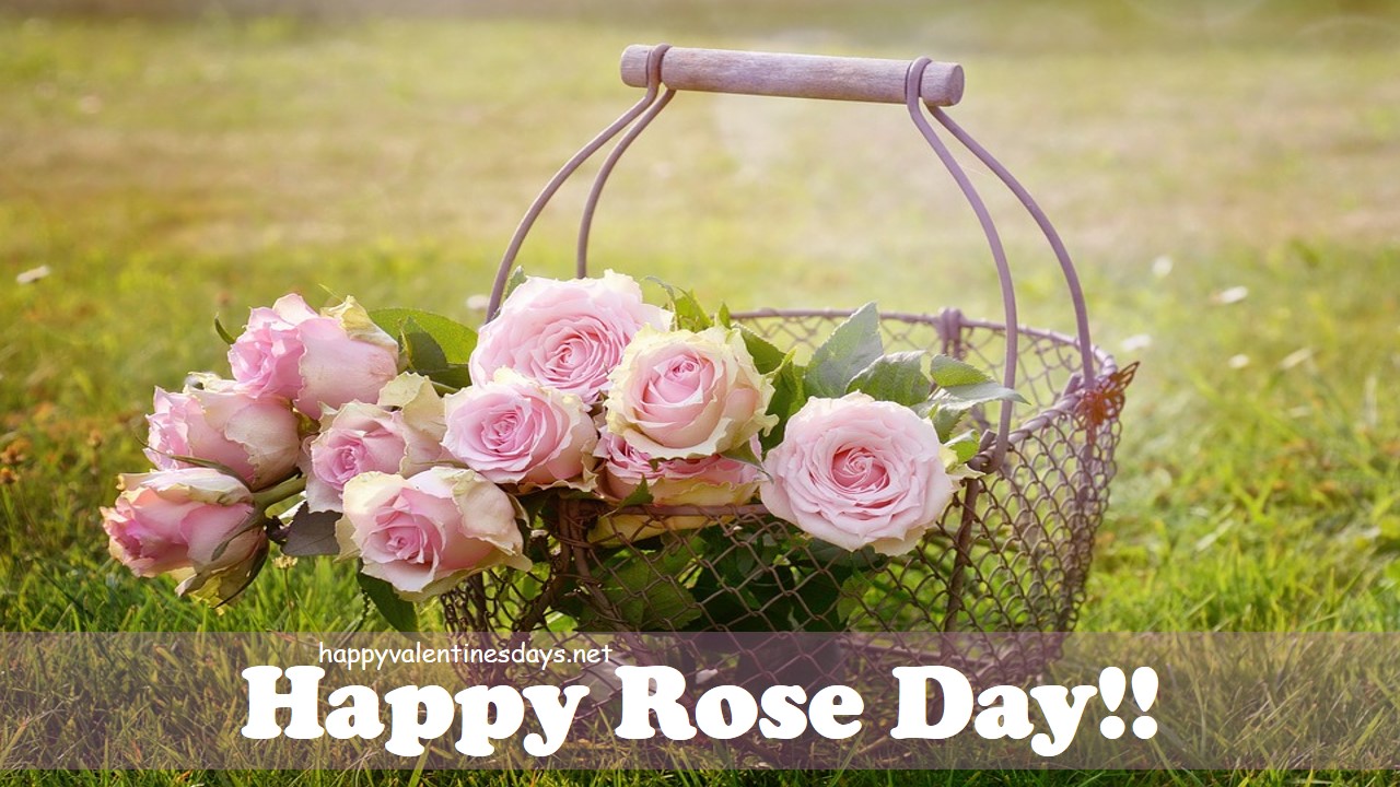  Happy Rose Day 2021 Wishes Images Pics  Quotes Messages ...