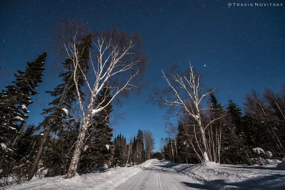 Photography by Travis Novitsky Photo Journal Moonlight on the Avenue