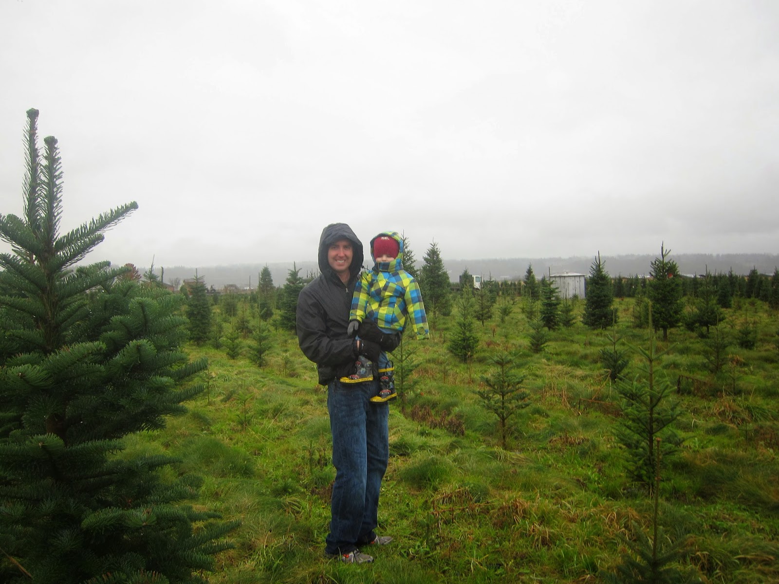 B&B Oh Christmas Tree, Oh Christmas Tree...