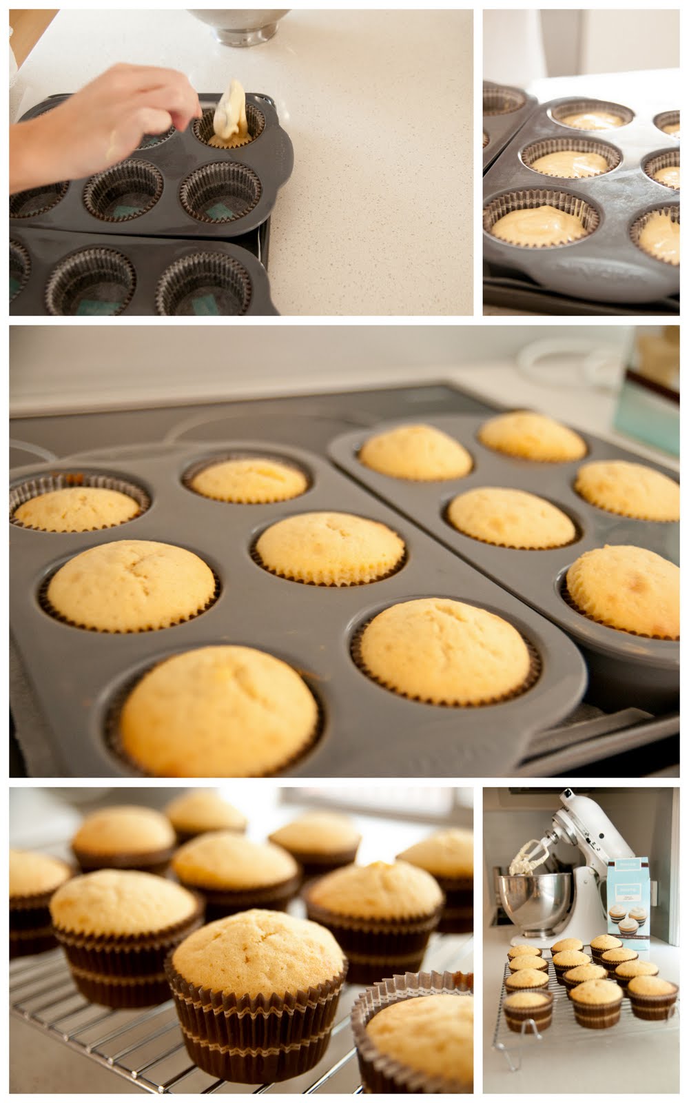 Lady Dash donna hay "BAKE AT HOME" Vanilla Cupcakes