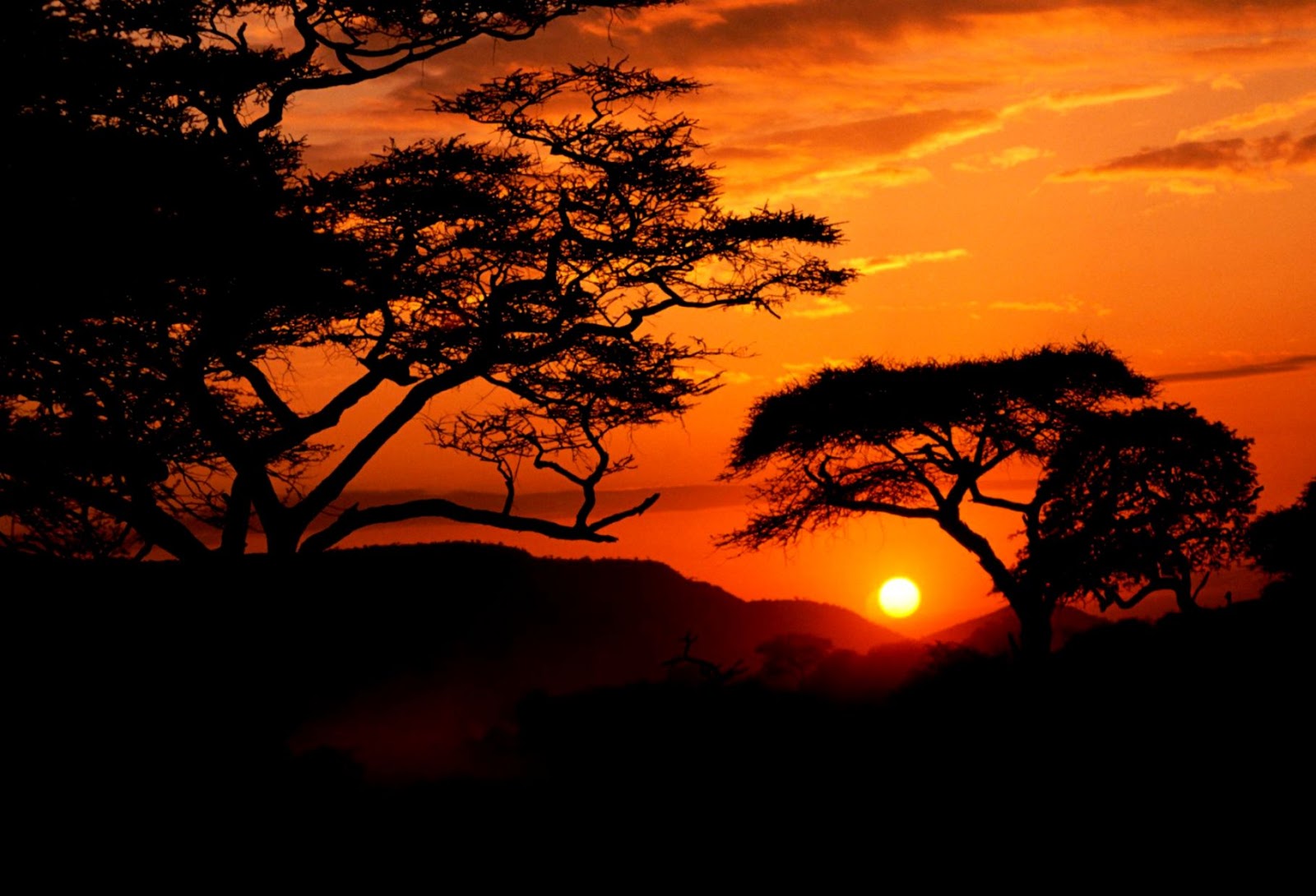 Serengeti National Park Sunset