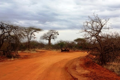 camino Kenia, africa, África