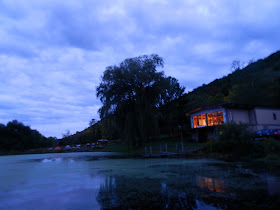Nature in a Nutshell: River Otter Dissection