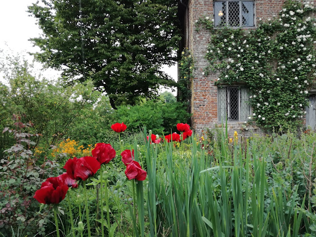 The South Cottage Garden 