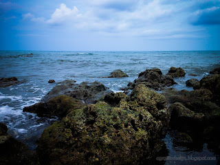 Natural Coral Reefs By The Beach Of Umeanyar Village, Buleleng, North Bali, Indonesia