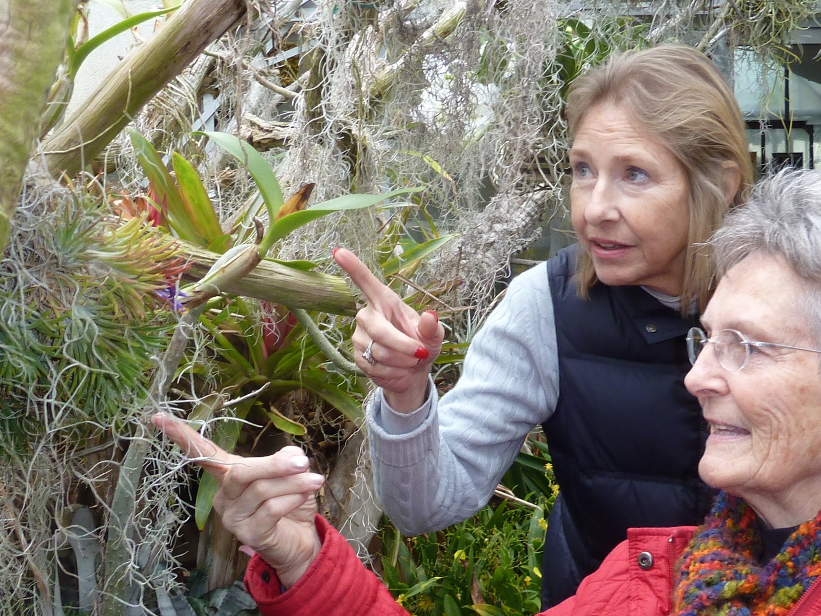 Garden Chat SPADE AND TROWEL CLUB CATCHES A WAVE FOR