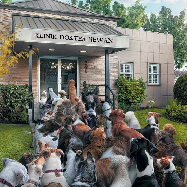 Klinik hewan terdekat