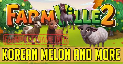 Korean Melon