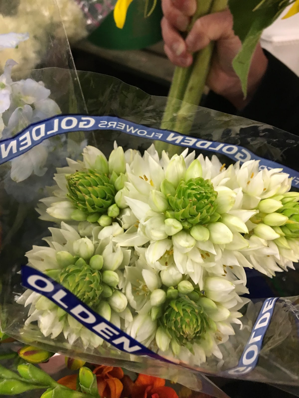 Rowan's Story Part 5 "The Flowers"