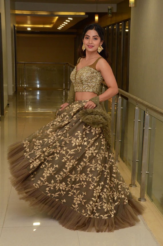 Kashmira Pardeshi at Narthanasala Pre-Release