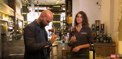 wine tv signorvino wine bloggers