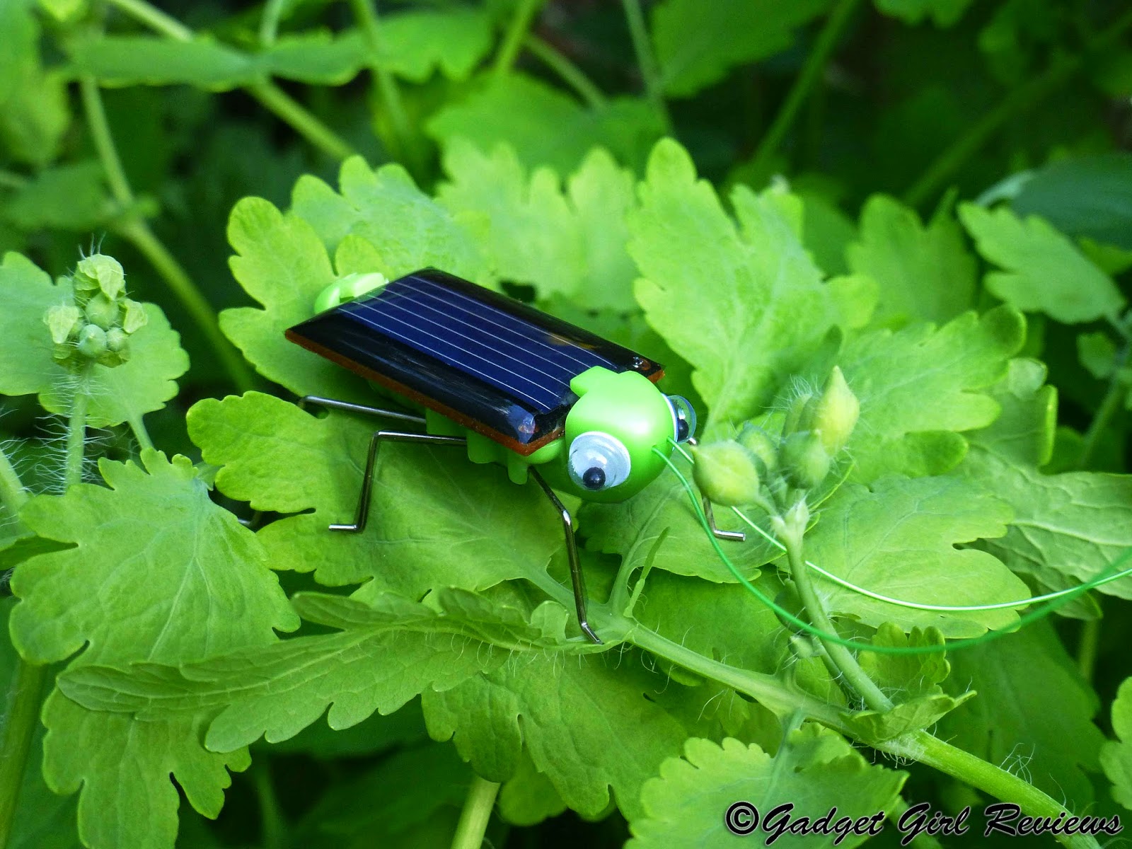 My Pet Solar Review BEST GADGET REVIEW