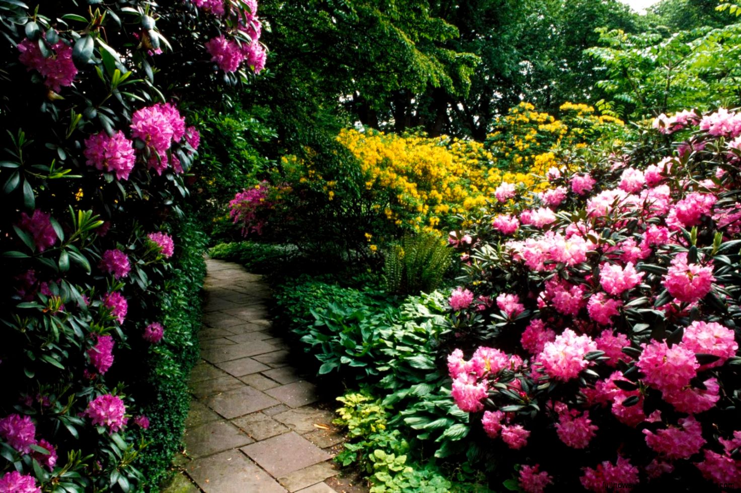 Pretty Flower Gardens Home And Landscape Design Funny Image