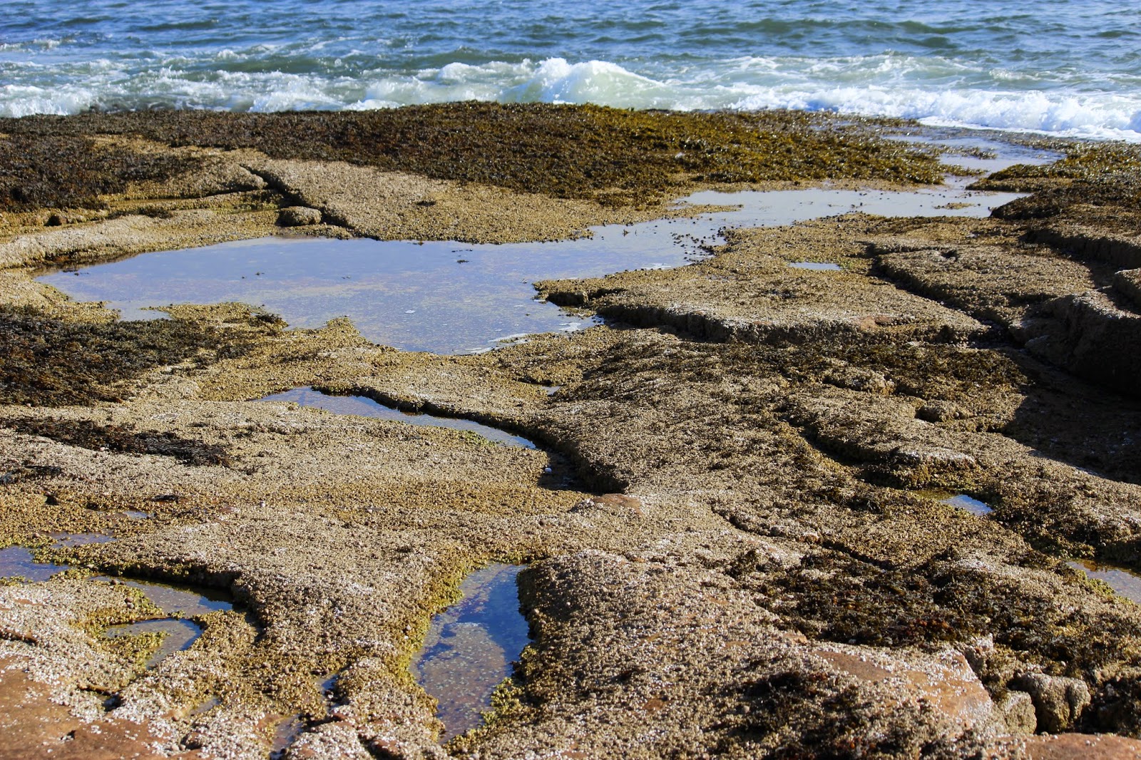 Changing Tides Acadia National Park